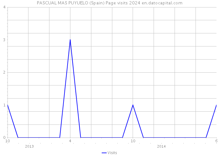 PASCUAL MAS PUYUELO (Spain) Page visits 2024 
