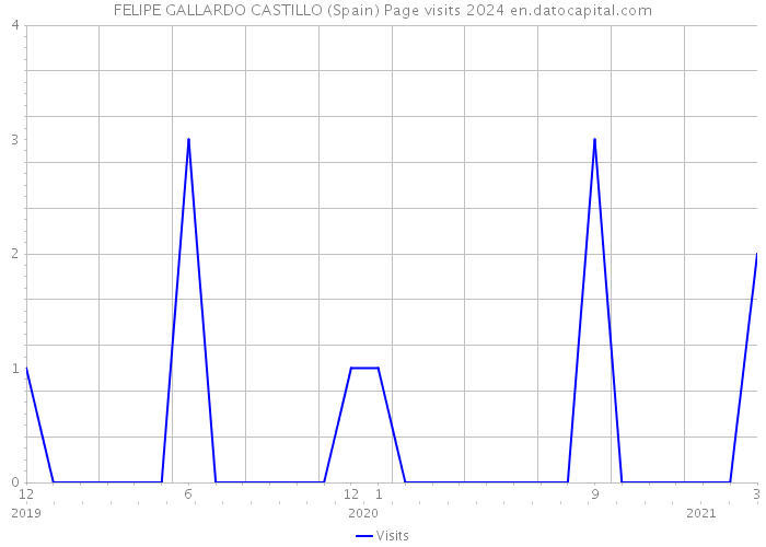 FELIPE GALLARDO CASTILLO (Spain) Page visits 2024 