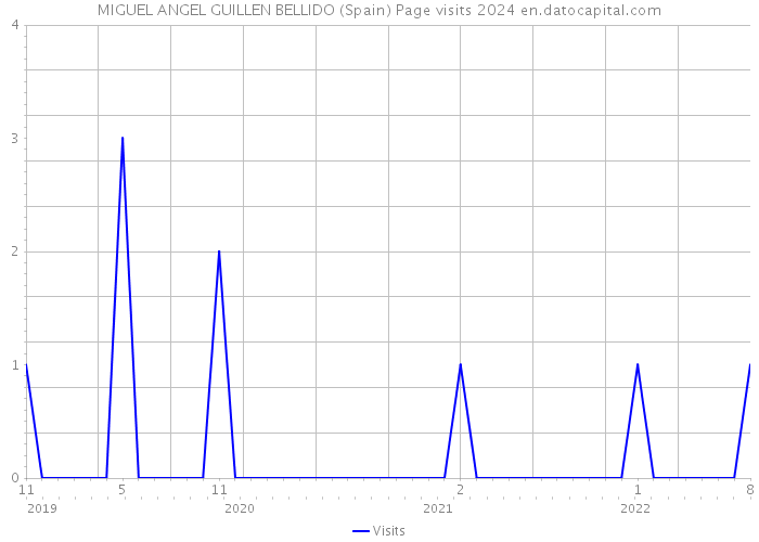 MIGUEL ANGEL GUILLEN BELLIDO (Spain) Page visits 2024 