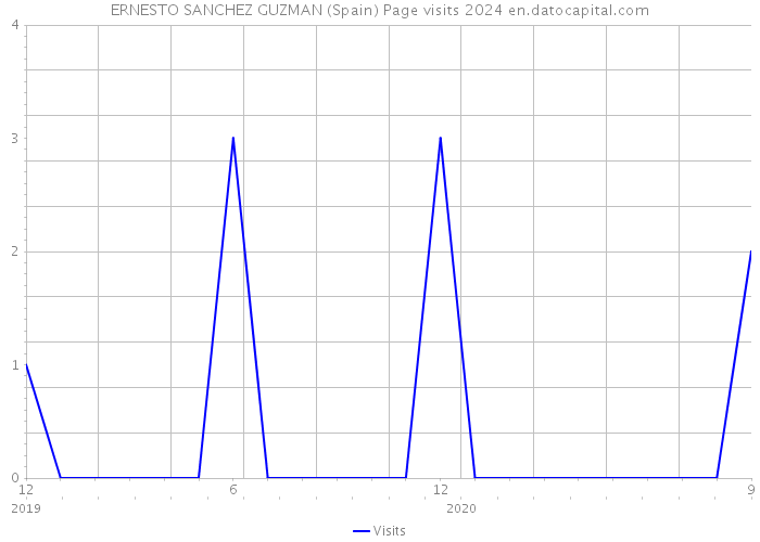 ERNESTO SANCHEZ GUZMAN (Spain) Page visits 2024 