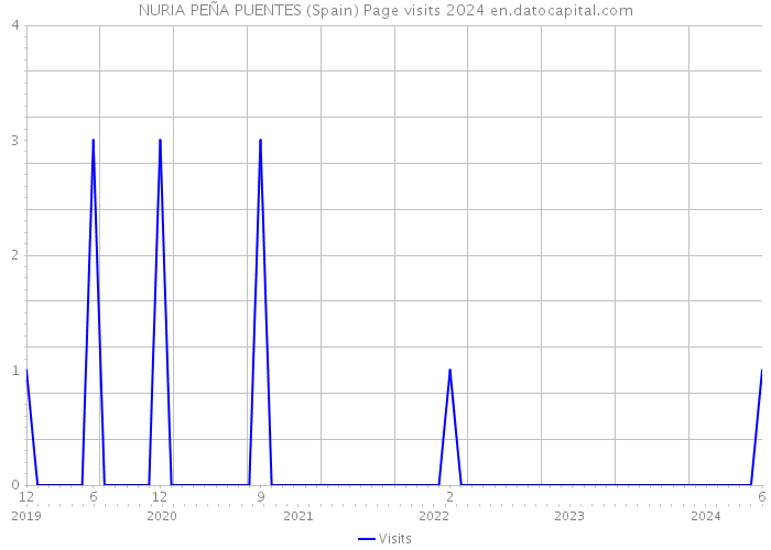 NURIA PEÑA PUENTES (Spain) Page visits 2024 