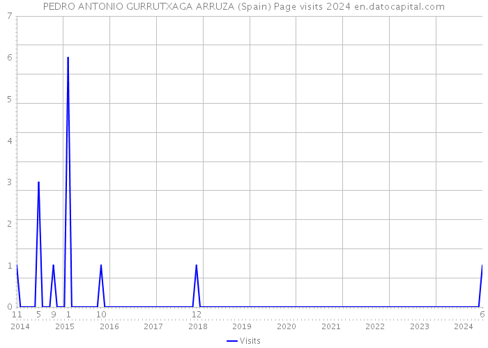 PEDRO ANTONIO GURRUTXAGA ARRUZA (Spain) Page visits 2024 