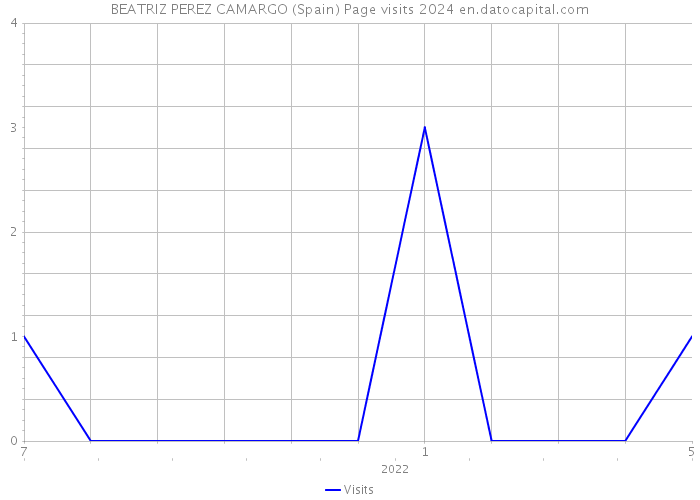 BEATRIZ PEREZ CAMARGO (Spain) Page visits 2024 