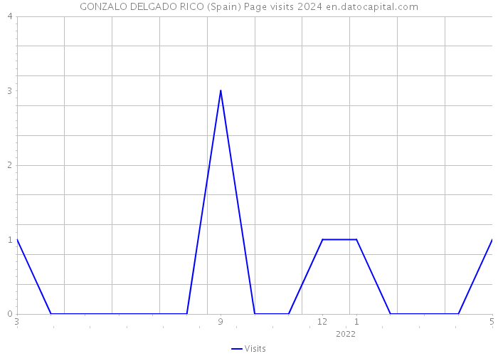 GONZALO DELGADO RICO (Spain) Page visits 2024 