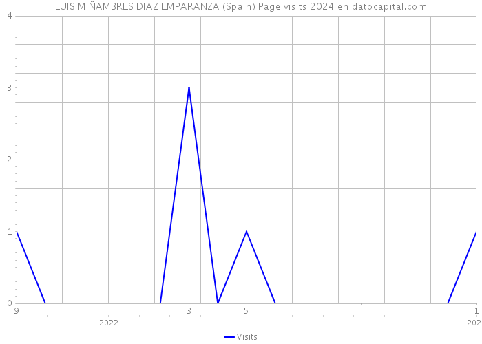 LUIS MIÑAMBRES DIAZ EMPARANZA (Spain) Page visits 2024 