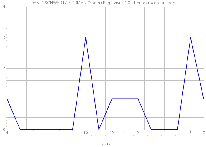 DAVID SCHWARTZ NORMAN (Spain) Page visits 2024 