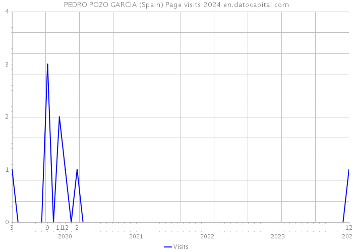 PEDRO POZO GARCIA (Spain) Page visits 2024 
