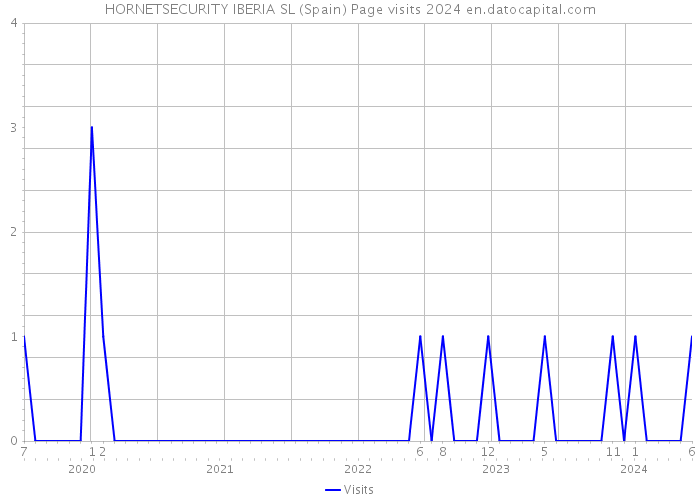 HORNETSECURITY IBERIA SL (Spain) Page visits 2024 