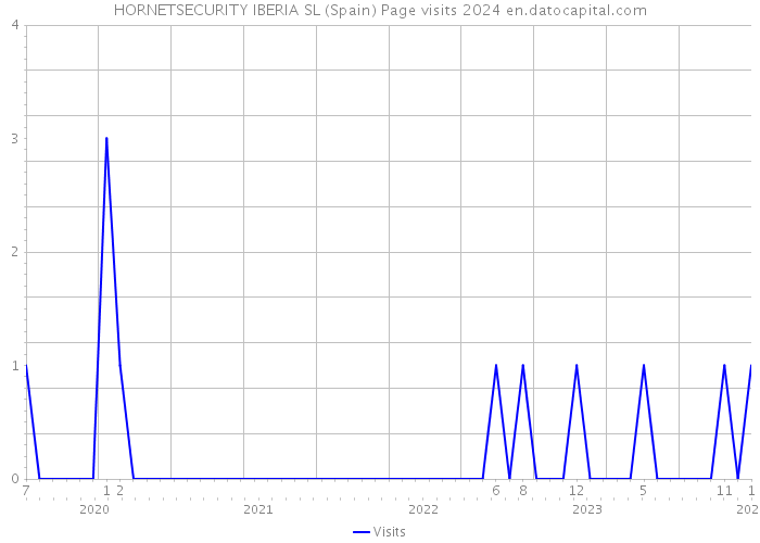 HORNETSECURITY IBERIA SL (Spain) Page visits 2024 