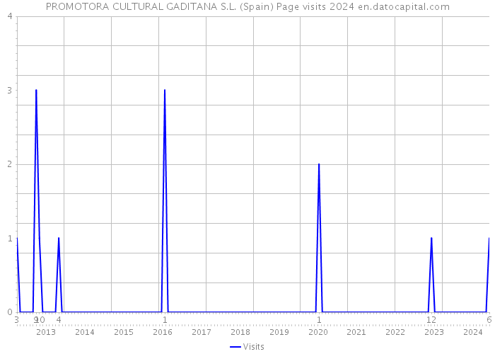 PROMOTORA CULTURAL GADITANA S.L. (Spain) Page visits 2024 