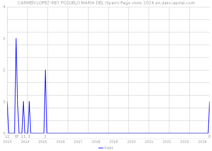 CARMEN LOPEZ-REY POZUELO MARIA DEL (Spain) Page visits 2024 