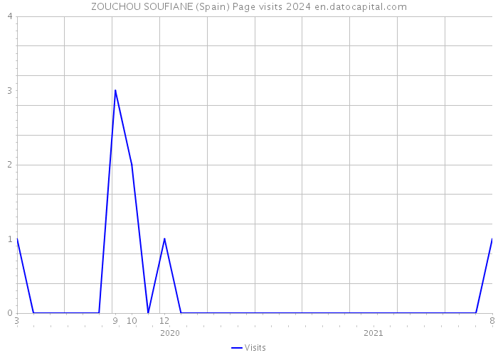 ZOUCHOU SOUFIANE (Spain) Page visits 2024 