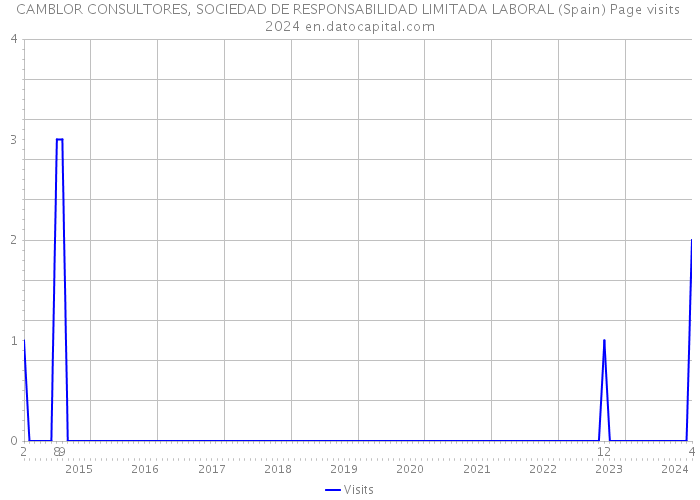 CAMBLOR CONSULTORES, SOCIEDAD DE RESPONSABILIDAD LIMITADA LABORAL (Spain) Page visits 2024 