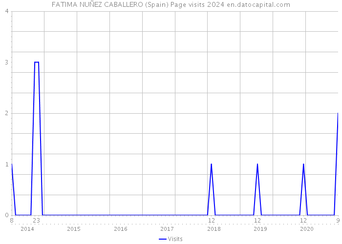 FATIMA NUÑEZ CABALLERO (Spain) Page visits 2024 