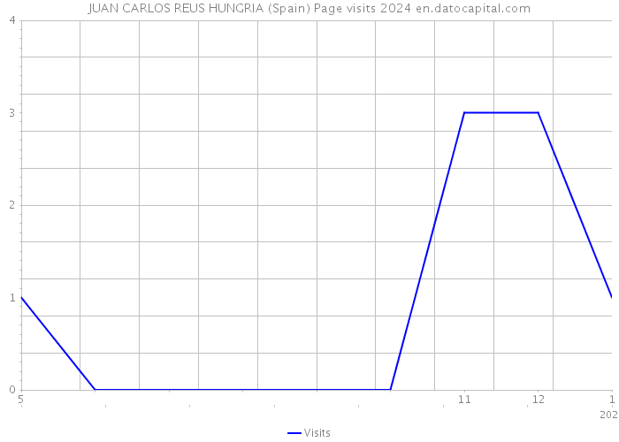 JUAN CARLOS REUS HUNGRIA (Spain) Page visits 2024 