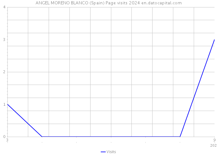 ANGEL MORENO BLANCO (Spain) Page visits 2024 