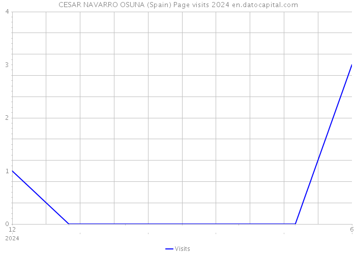 CESAR NAVARRO OSUNA (Spain) Page visits 2024 