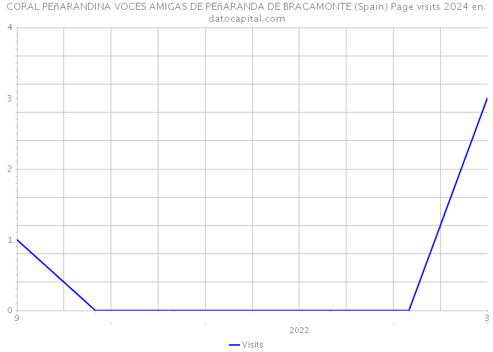 CORAL PEñARANDINA VOCES AMIGAS DE PEñARANDA DE BRACAMONTE (Spain) Page visits 2024 