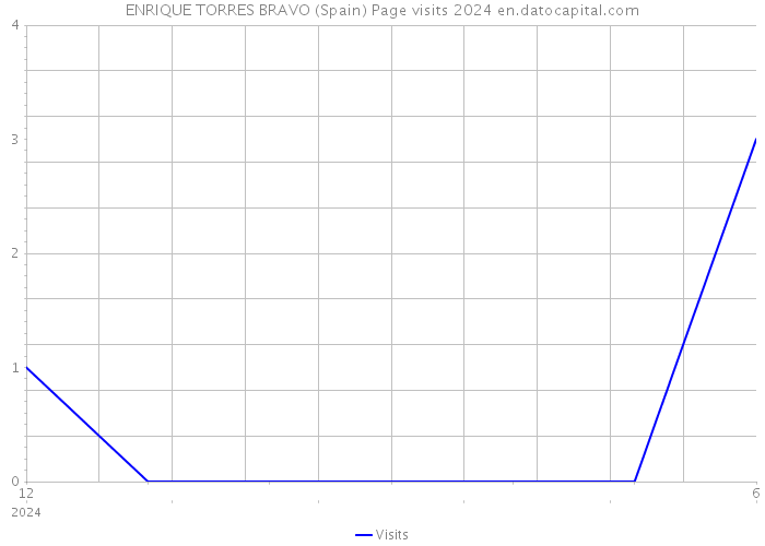 ENRIQUE TORRES BRAVO (Spain) Page visits 2024 
