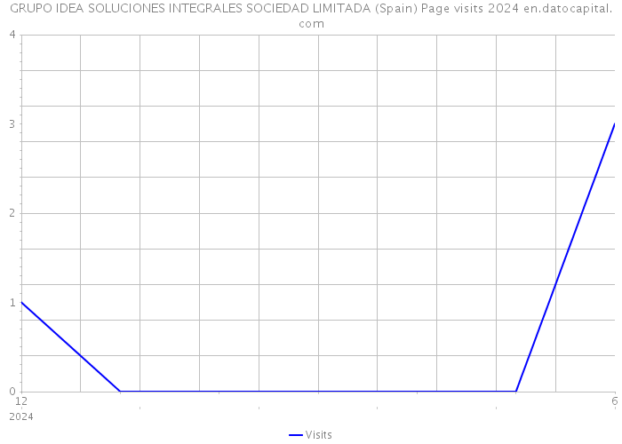 GRUPO IDEA SOLUCIONES INTEGRALES SOCIEDAD LIMITADA (Spain) Page visits 2024 