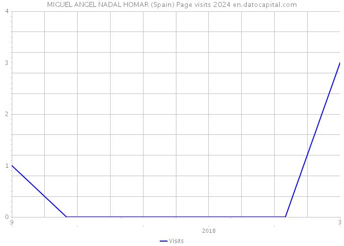MIGUEL ANGEL NADAL HOMAR (Spain) Page visits 2024 