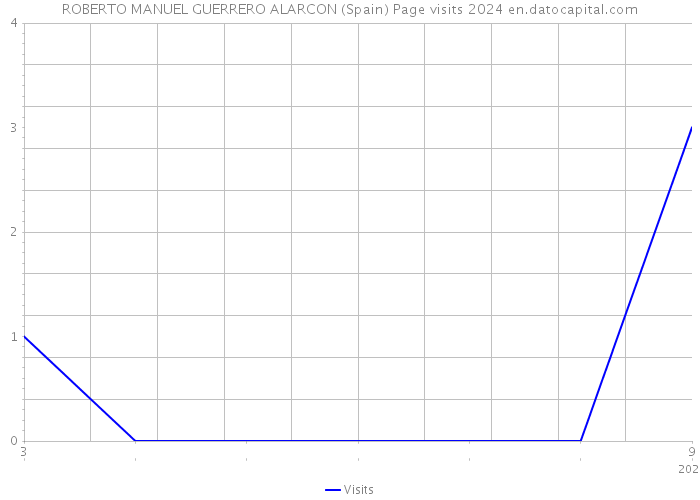 ROBERTO MANUEL GUERRERO ALARCON (Spain) Page visits 2024 