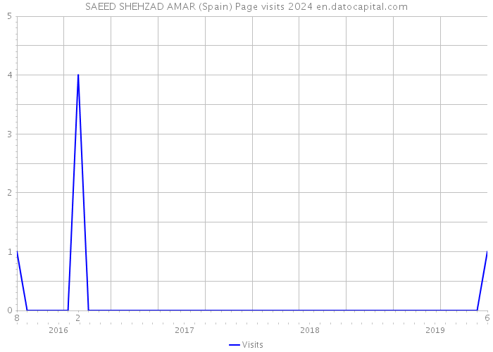 SAEED SHEHZAD AMAR (Spain) Page visits 2024 