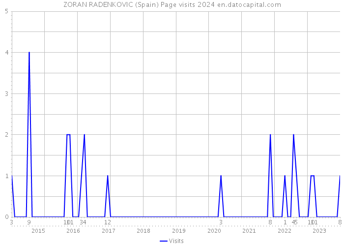 ZORAN RADENKOVIC (Spain) Page visits 2024 