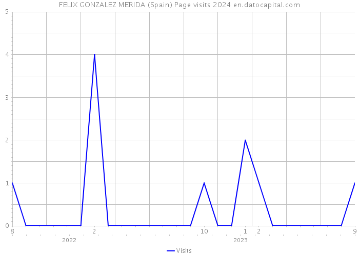 FELIX GONZALEZ MERIDA (Spain) Page visits 2024 