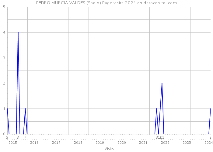 PEDRO MURCIA VALDES (Spain) Page visits 2024 