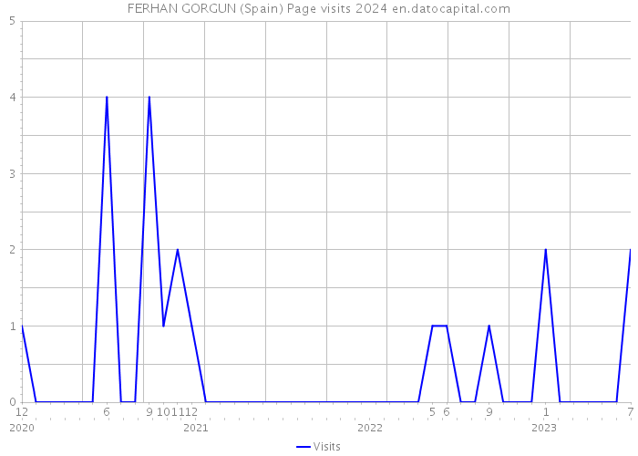 FERHAN GORGUN (Spain) Page visits 2024 