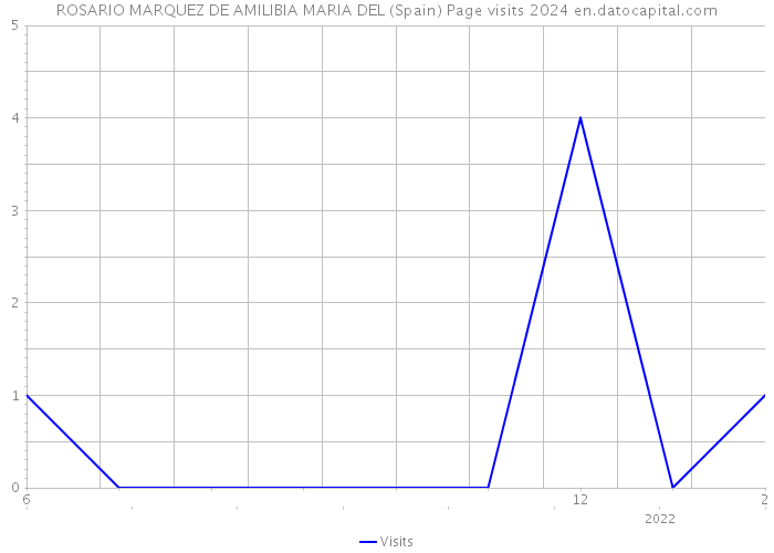 ROSARIO MARQUEZ DE AMILIBIA MARIA DEL (Spain) Page visits 2024 