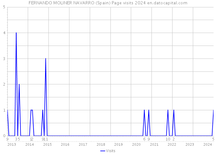 FERNANDO MOLINER NAVARRO (Spain) Page visits 2024 