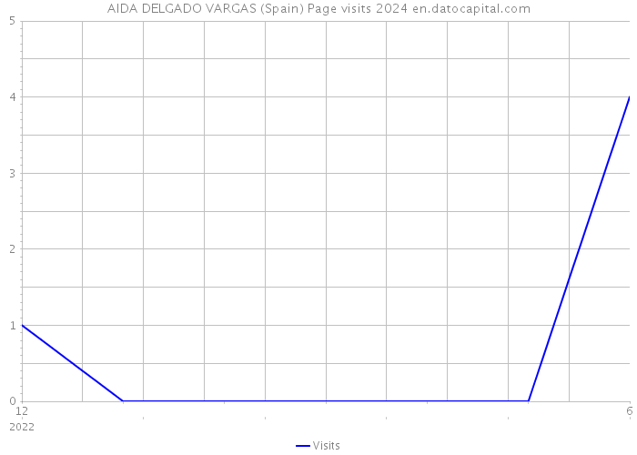 AIDA DELGADO VARGAS (Spain) Page visits 2024 