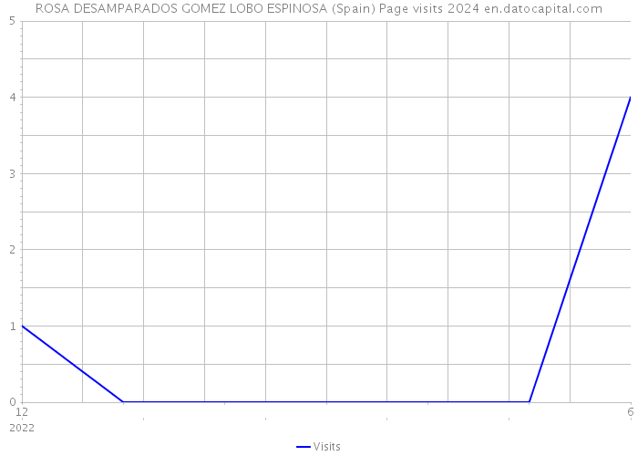 ROSA DESAMPARADOS GOMEZ LOBO ESPINOSA (Spain) Page visits 2024 