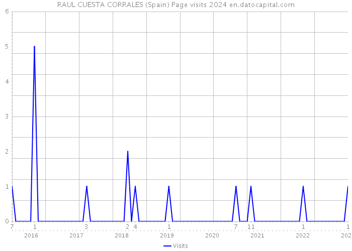 RAUL CUESTA CORRALES (Spain) Page visits 2024 