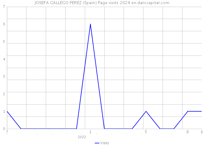 JOSEFA GALLEGO PEREZ (Spain) Page visits 2024 