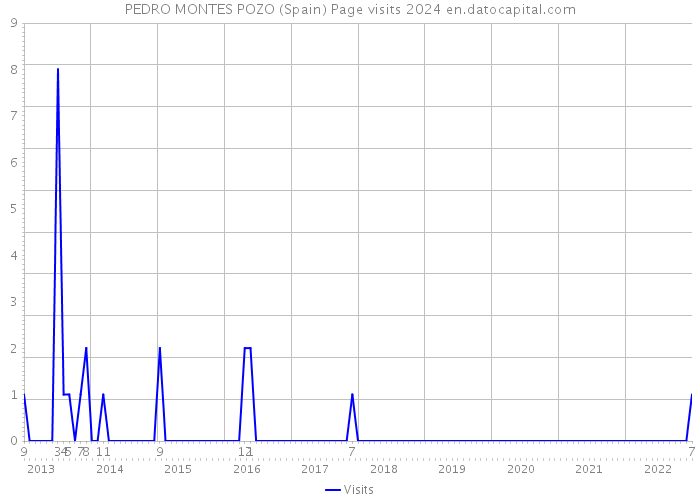 PEDRO MONTES POZO (Spain) Page visits 2024 