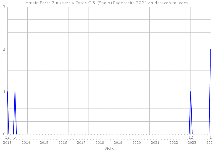 Amaia Parra Zuturuza y Otros C.B. (Spain) Page visits 2024 