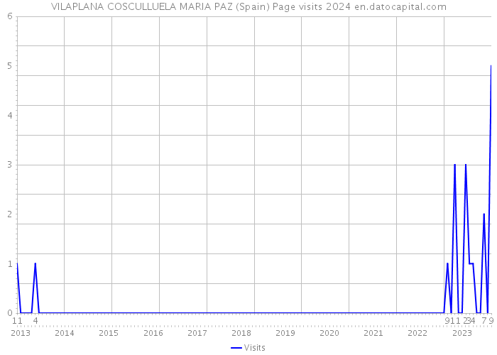 VILAPLANA COSCULLUELA MARIA PAZ (Spain) Page visits 2024 