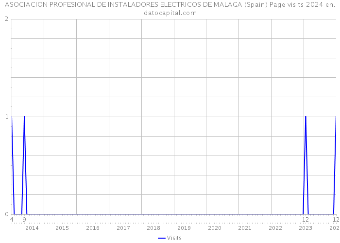 ASOCIACION PROFESIONAL DE INSTALADORES ELECTRICOS DE MALAGA (Spain) Page visits 2024 