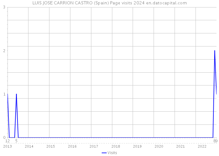 LUIS JOSE CARRION CASTRO (Spain) Page visits 2024 