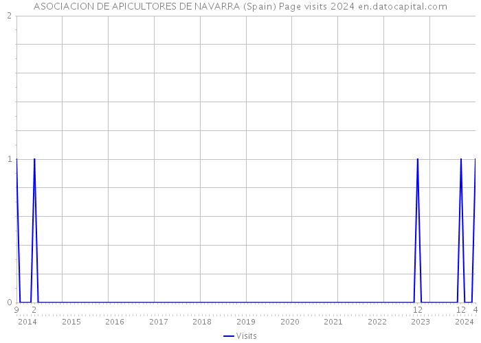 ASOCIACION DE APICULTORES DE NAVARRA (Spain) Page visits 2024 