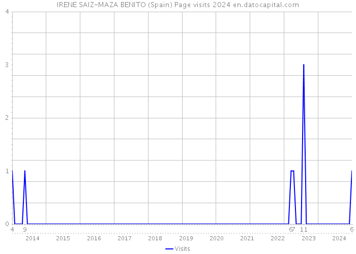 IRENE SAIZ-MAZA BENITO (Spain) Page visits 2024 