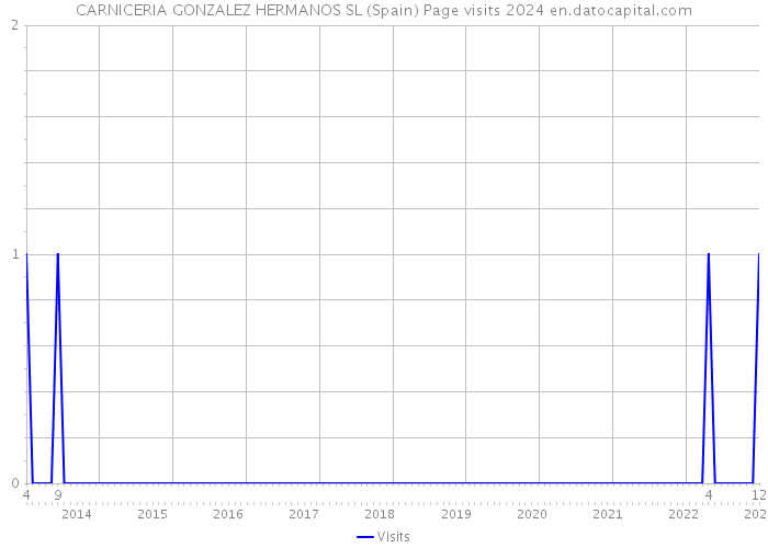 CARNICERIA GONZALEZ HERMANOS SL (Spain) Page visits 2024 