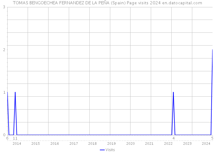 TOMAS BENGOECHEA FERNANDEZ DE LA PEÑA (Spain) Page visits 2024 