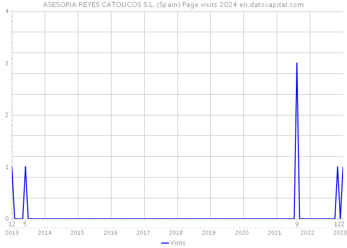 ASESORIA REYES CATOLICOS S.L. (Spain) Page visits 2024 