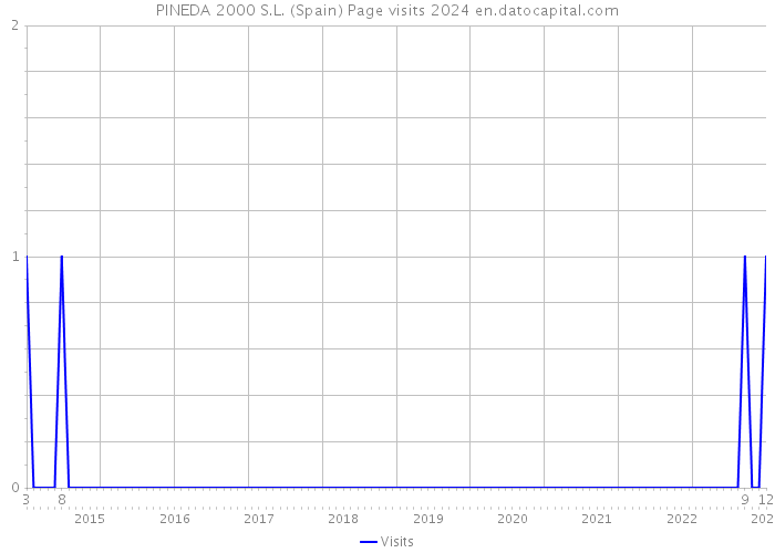 PINEDA 2000 S.L. (Spain) Page visits 2024 