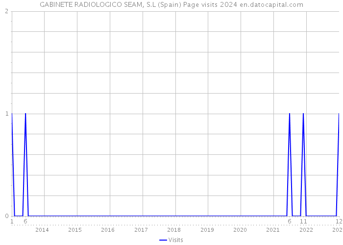 GABINETE RADIOLOGICO SEAM, S.L (Spain) Page visits 2024 