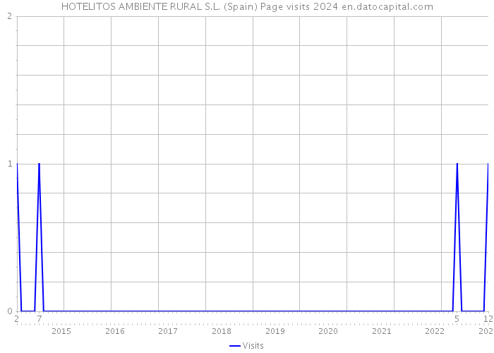 HOTELITOS AMBIENTE RURAL S.L. (Spain) Page visits 2024 